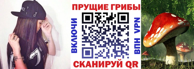 Галлюциногенные грибы ЛСД  Северская 